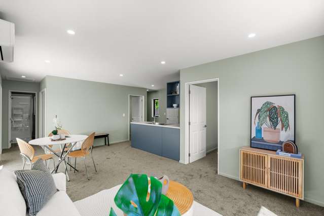 17 Havelock Street Linwood_3