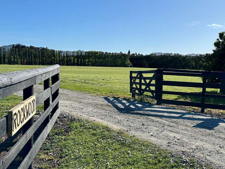 Lots 2, 3 & 4 Toru Street Makaraka_1