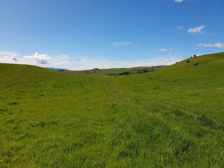 Lot 2 Cricklewood Rise Grants Road Kurow_14