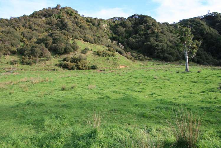 268 Piko Road Okoki_32