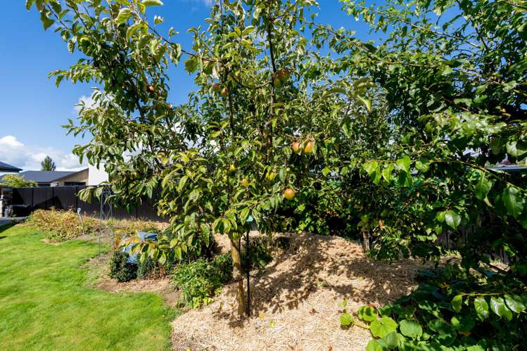 13 Franks Place Outram_22