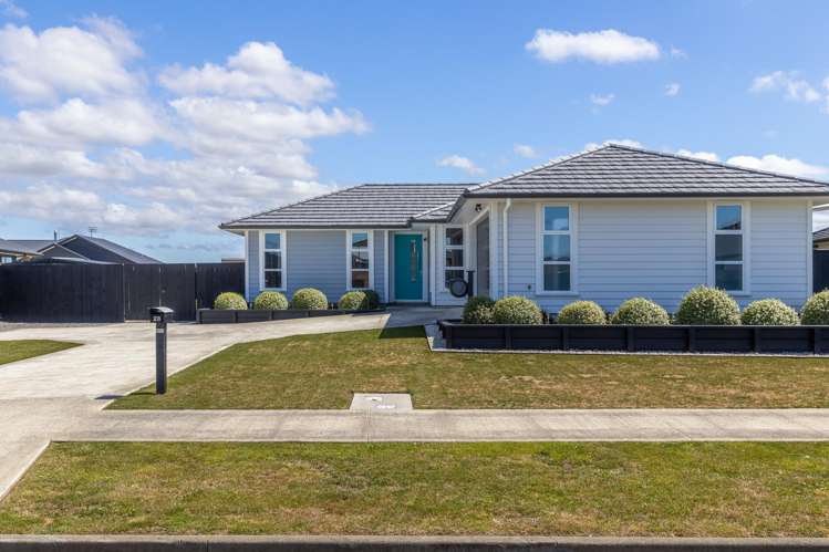 28 George Street Bulls_26