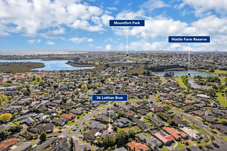 36 Lothian Brae Wattle Downs_36