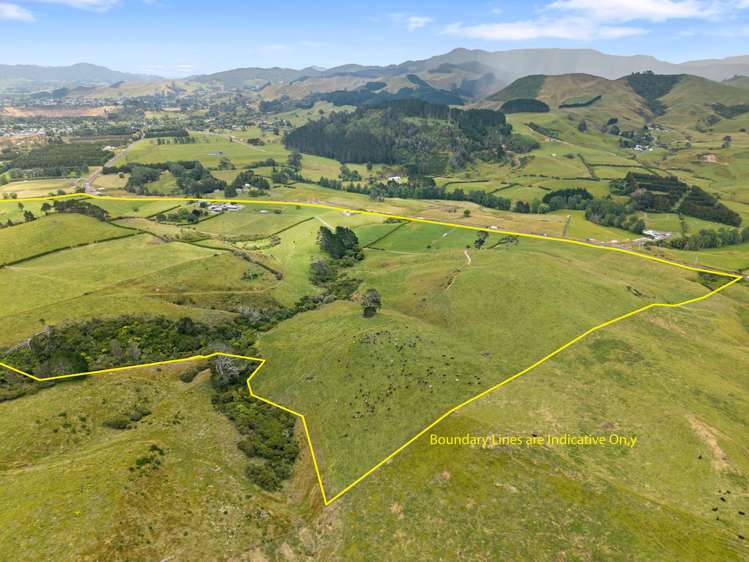 368 Waihi-Whangamata Road Waihi_9