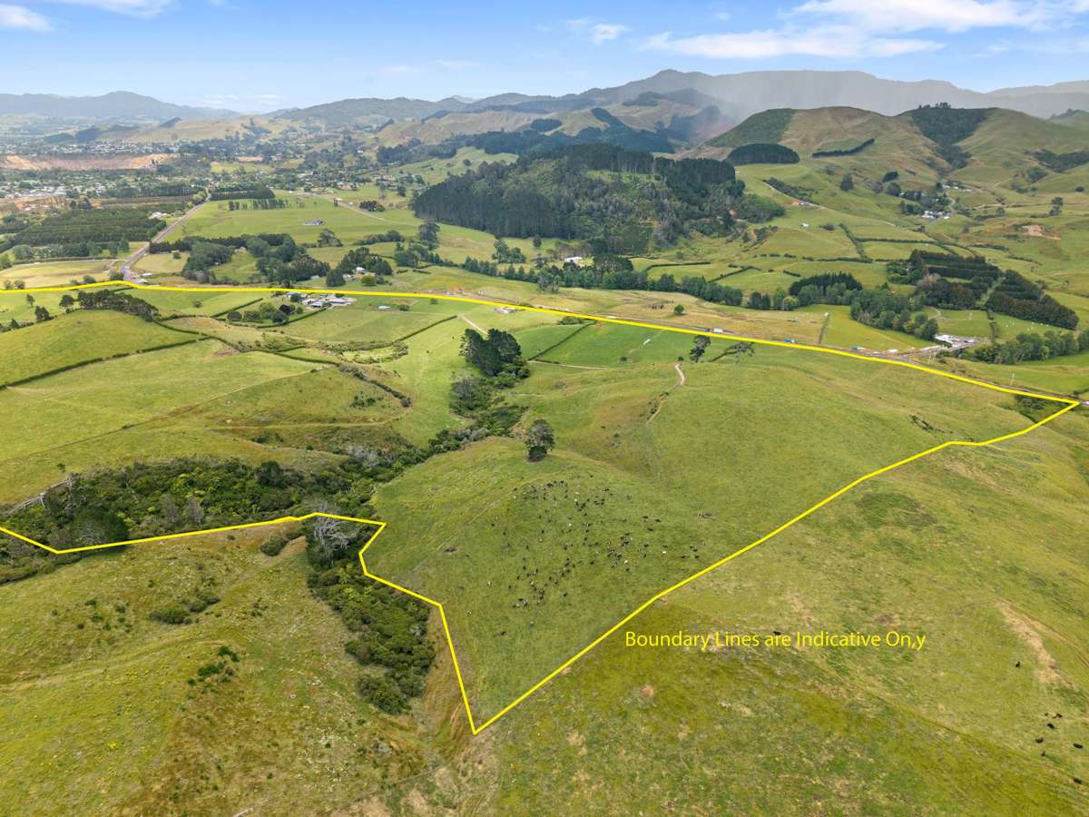 368 Waihi-Whangamata Road_5