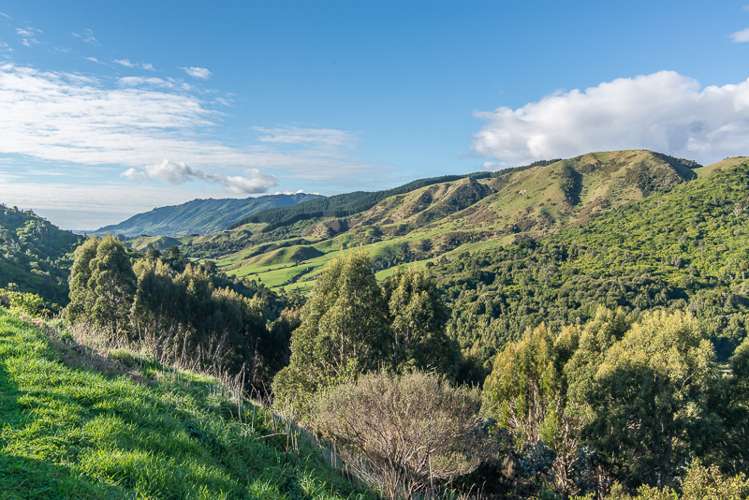 42 Anlaby Road Paraparaumu_10