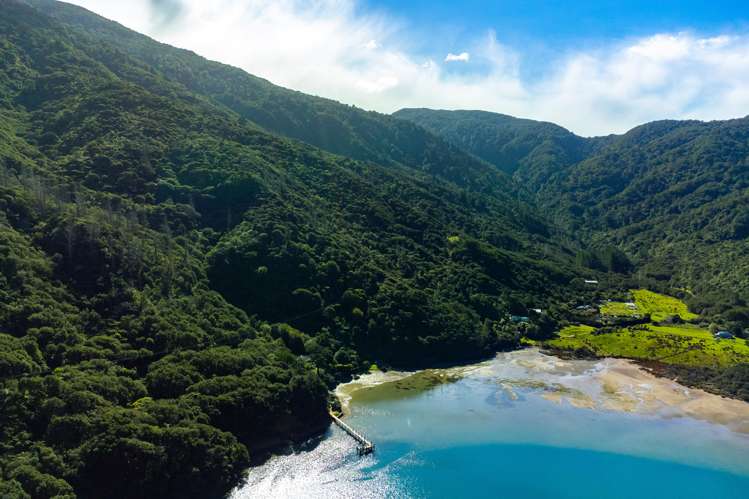 Endeavour Inlet Furneaux_10