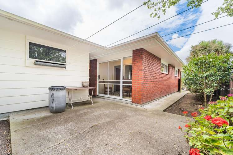 45 Dittmer Drive Awapuni_18