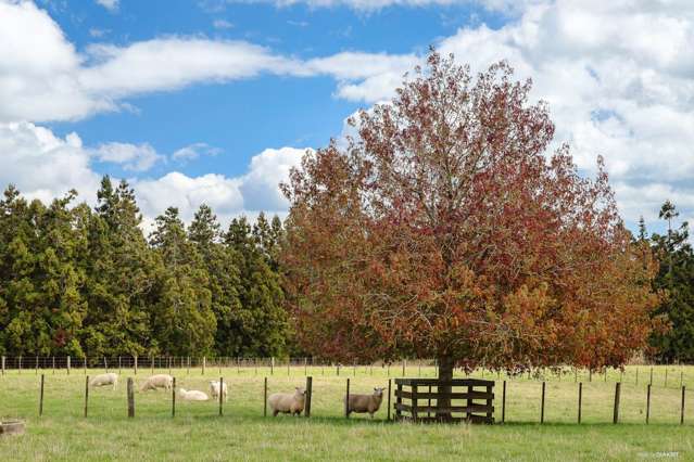 1/205C Ingram Road Bombay_1