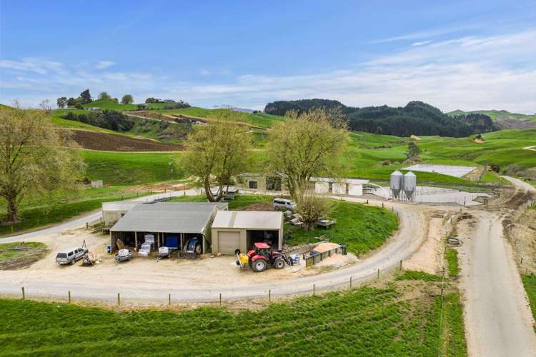 310 Paparamu Road Piarere_15