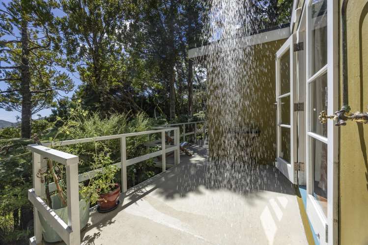 101-103 Lone Kauri Road Karekare_20