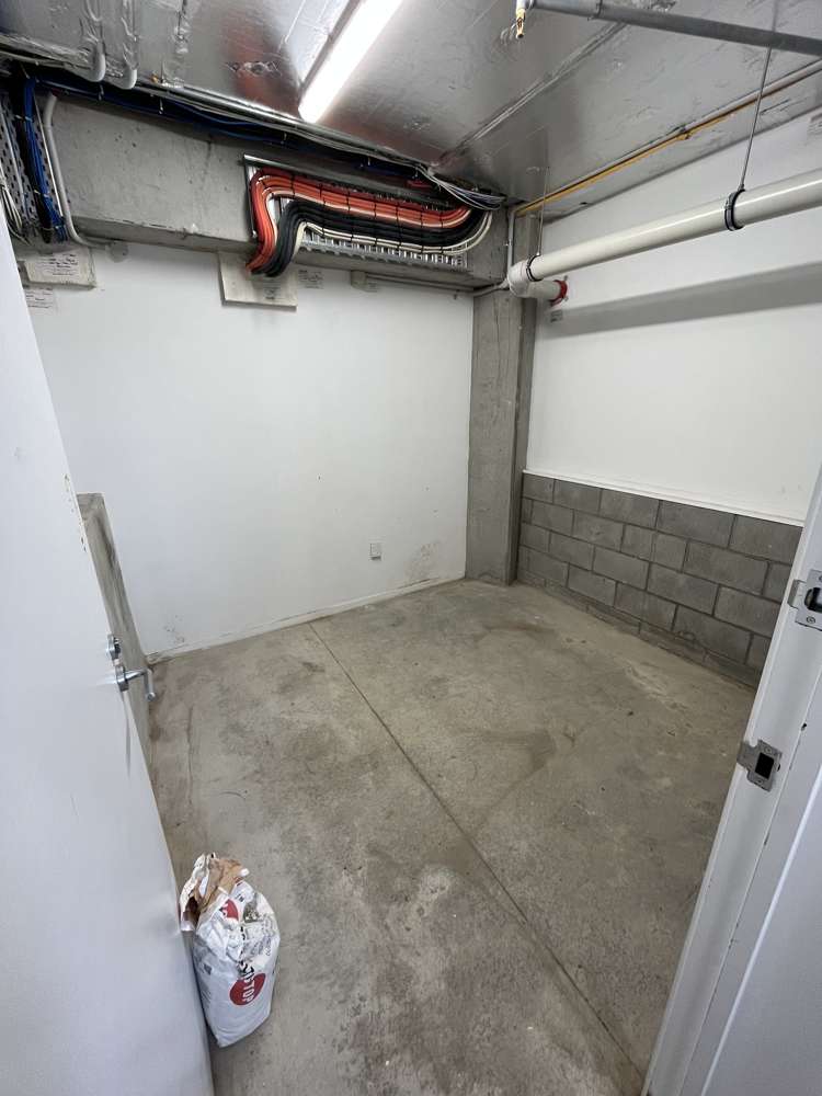 Unit 2/3 Redmond Street Ponsonby_8