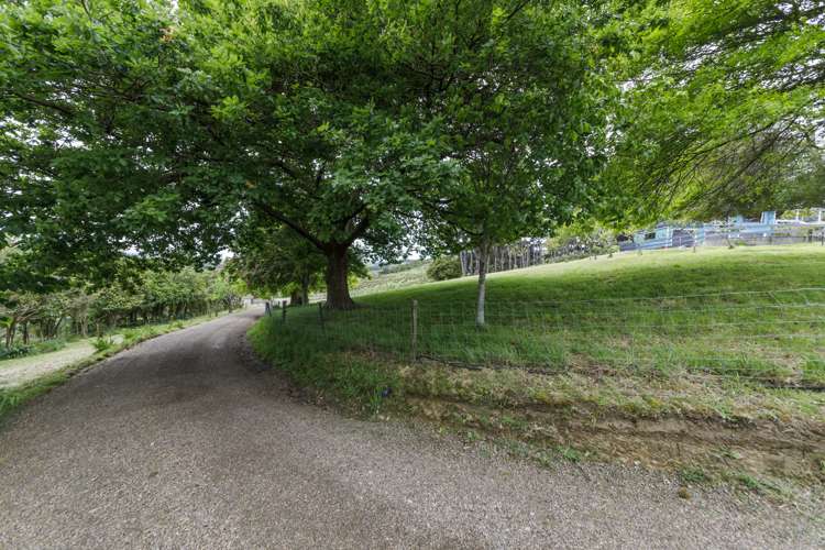 76 Forest Hill Road Aokautere_20