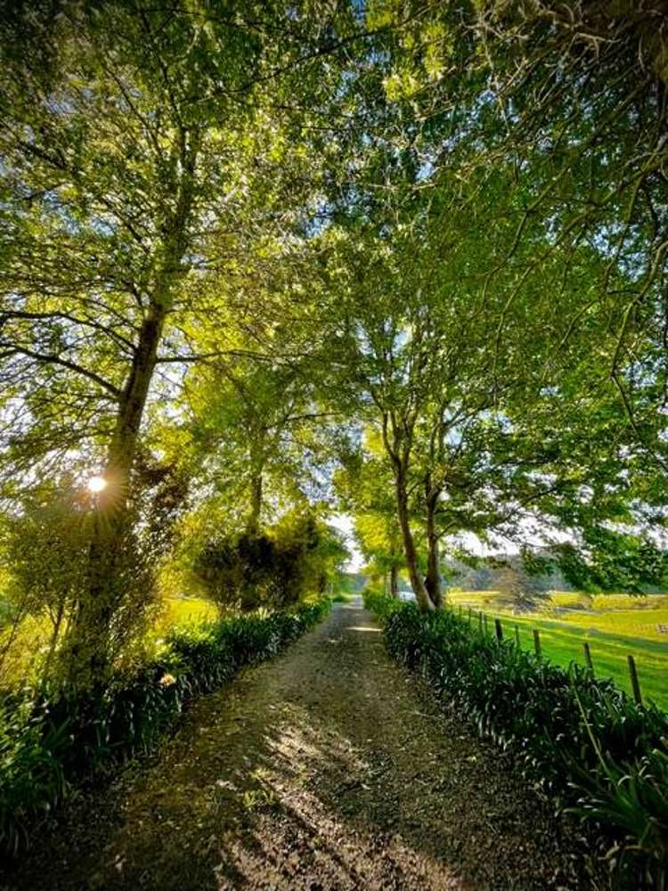 1320 Highway 22 Pukekawa_38