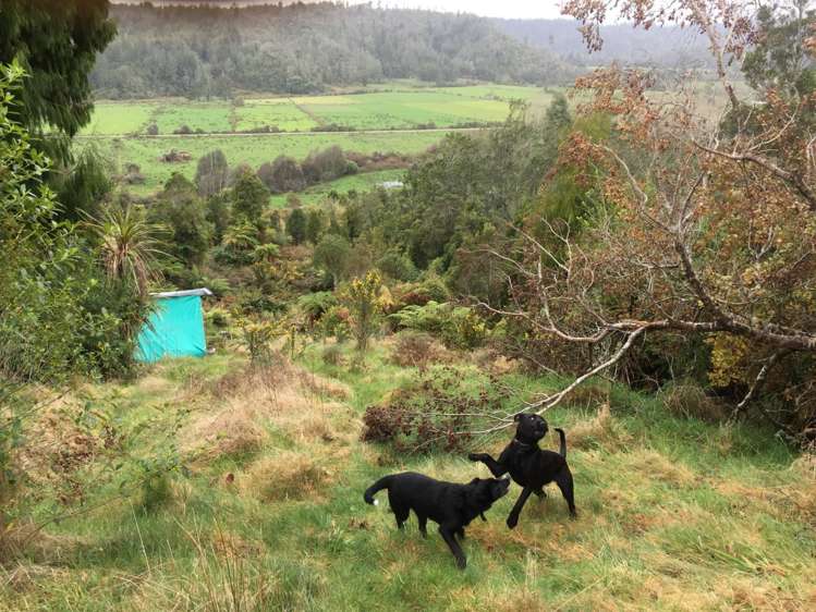 134b Granite Creek Road Karamea_7