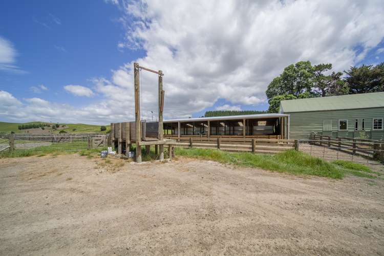 235 Otope Road Dannevirke_5