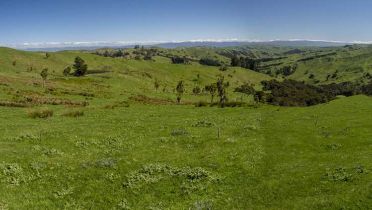 7 Hikawera Road Hinakura_12