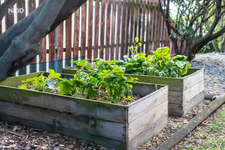 79 Victoria Road Saint Kilda_15