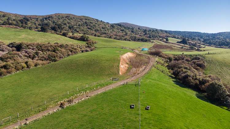 233 Leith Valley Road Leith Valley_16