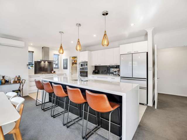 66 Tauhinu Avenue Lincoln_2