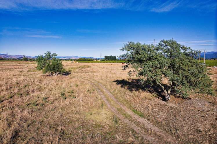 167 Hammerichs Road Rapaura_16