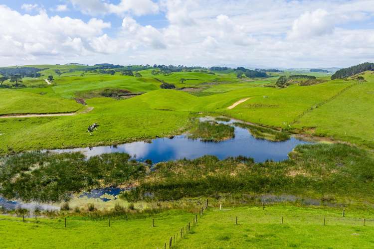 570b Notorious West Road Dargaville_2