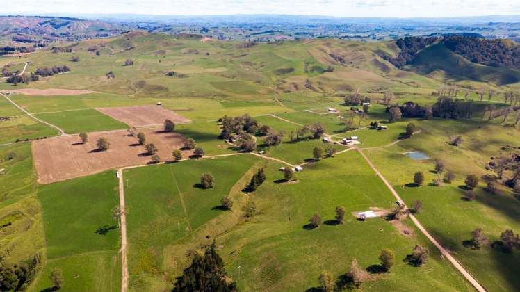 120 Pamotumotu Road Maihiihi_5