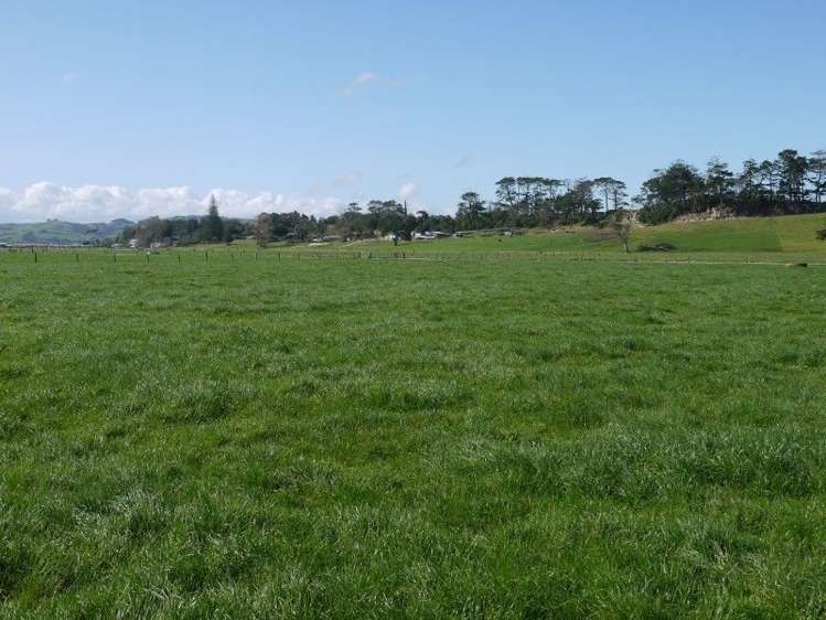 762 Pouto Road Te Kopuru_15