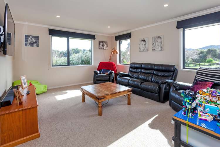 150 Beech Lane Coromandel_6