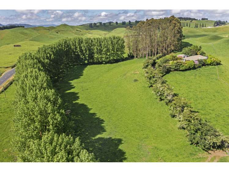 80 State Highway 3 Piopio_5