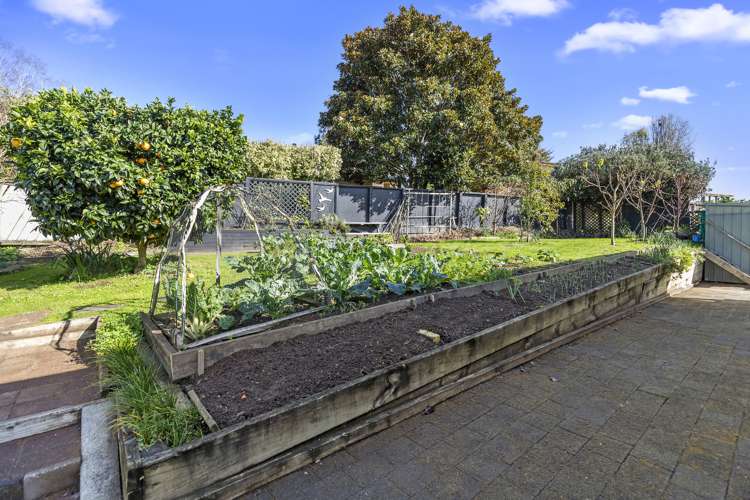 44 Willow Grove Morrinsville_13