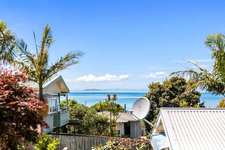 7a Zealandia Road Manly_2