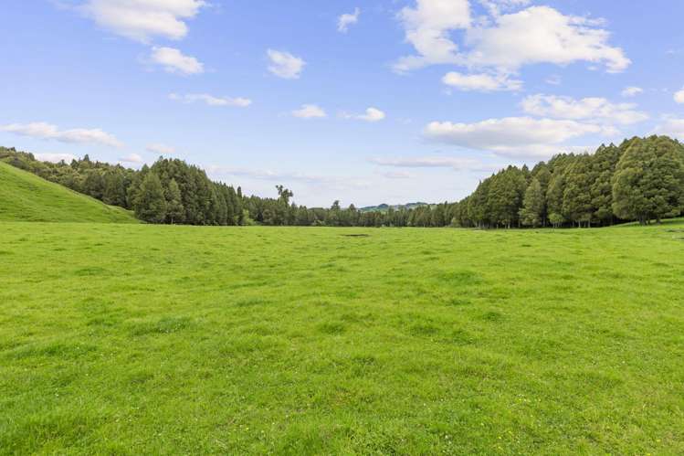 878 Mokauiti Road Aria_8