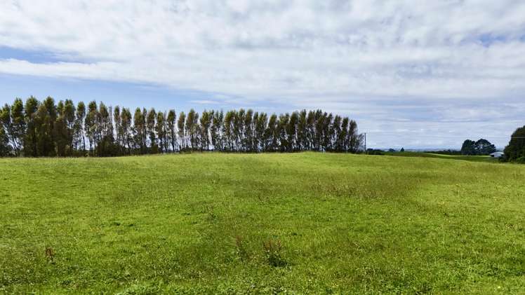 114 Dudley Road Upper Inglewood_10