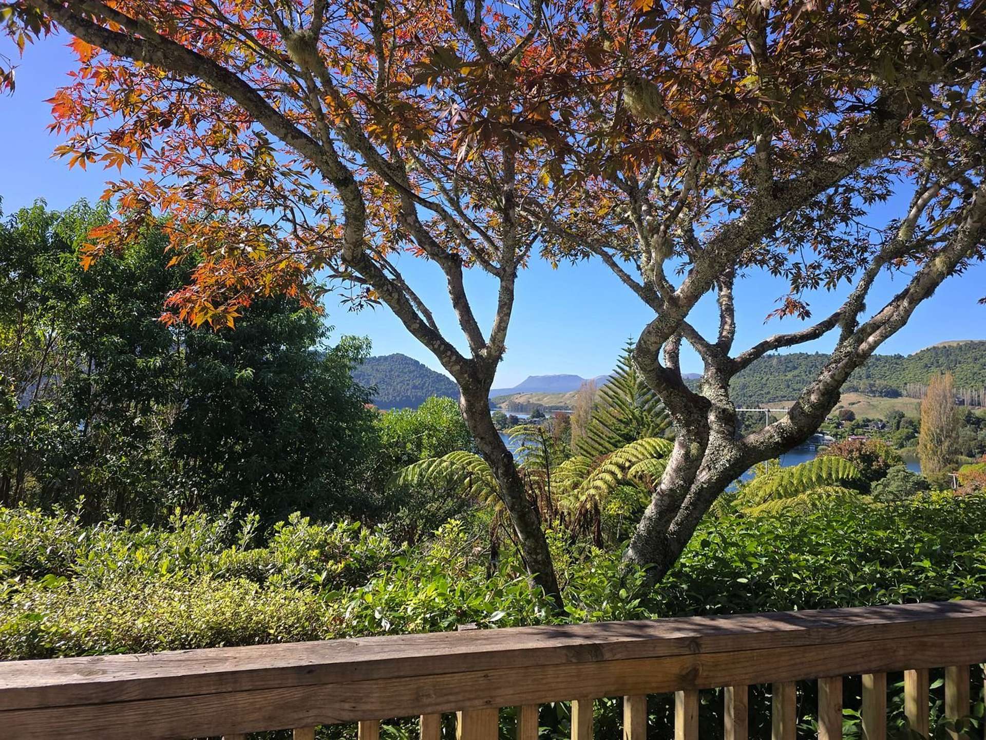 Address withheld Lake Okareka_0