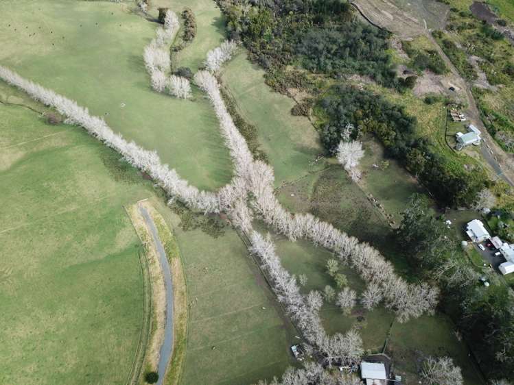 654 Inland Road Helensville_20