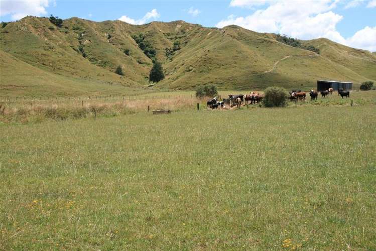 Walter Road Douglas_14