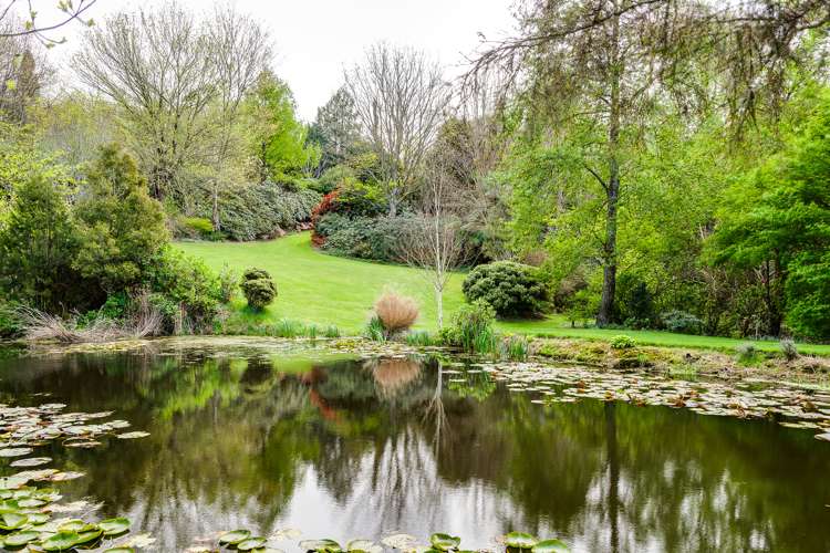 582 Old Coach Road Hastings Country_18