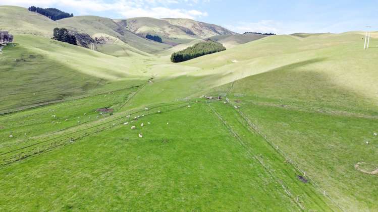 35 Andrew Street Allenton_6