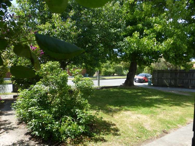 32 Piko Crescent 10211_3