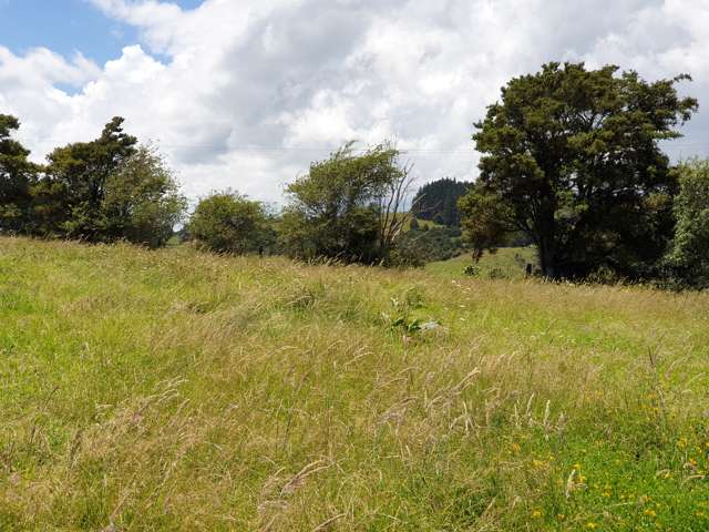 Lot/102 Franklin Road Paparoa_3