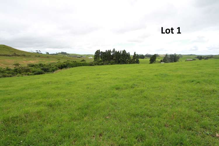 Lots 1 and 2 129 Manganui Road Midhirst_9