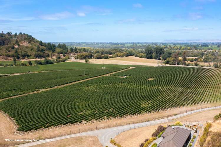 634 Kaituna Tuamarina Road_4