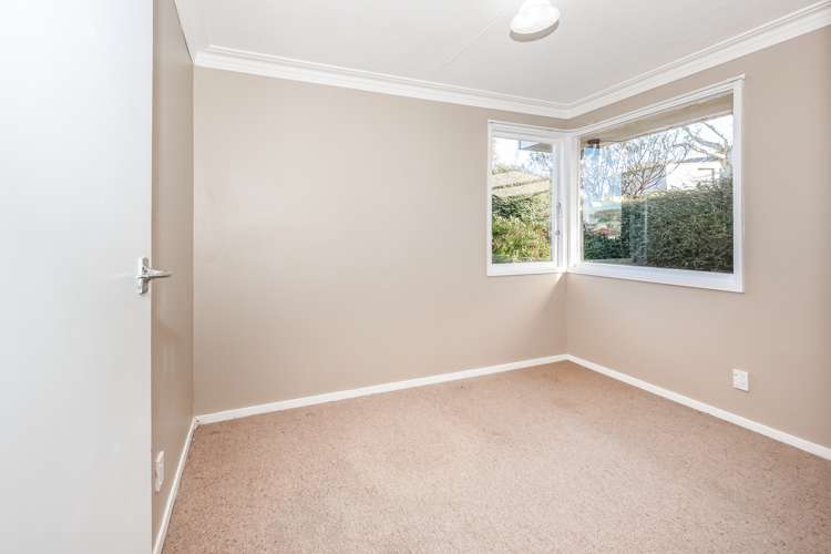 17 Duckworth Street Andersons Bay_6