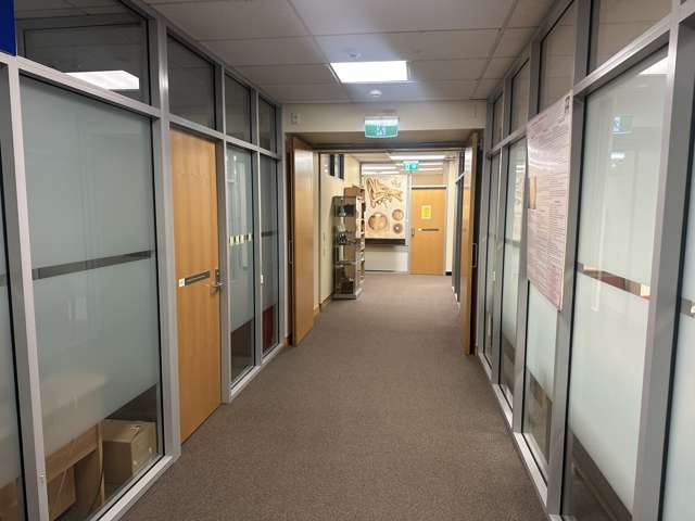 55 Hanover Street City Centre Dunedin_4