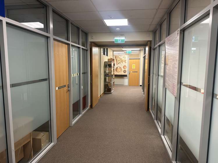 55 Hanover Street City Centre Dunedin_4