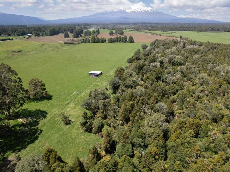 205 Mangaturuturu East Road National Park_15