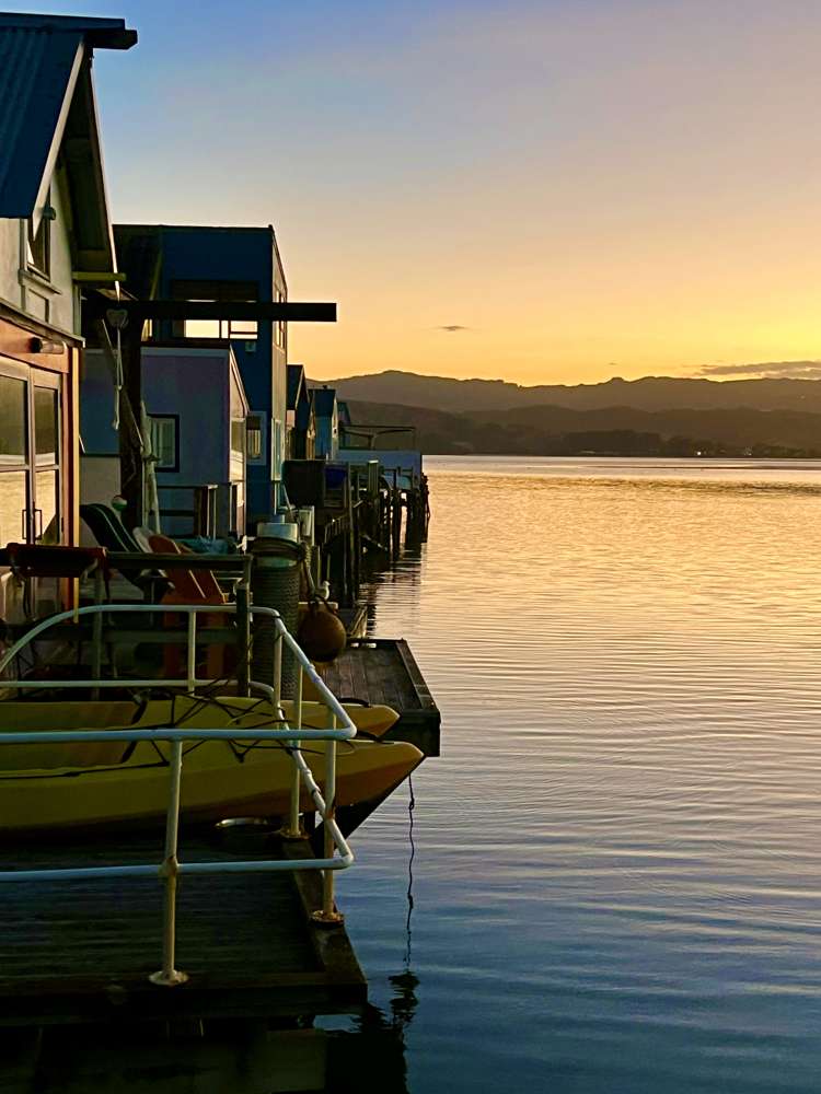 15 Boatshed, Camborne Walkway Paremata_33