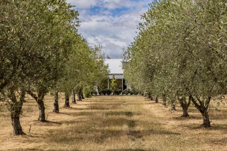 179 Racecourse Road Amberley_22