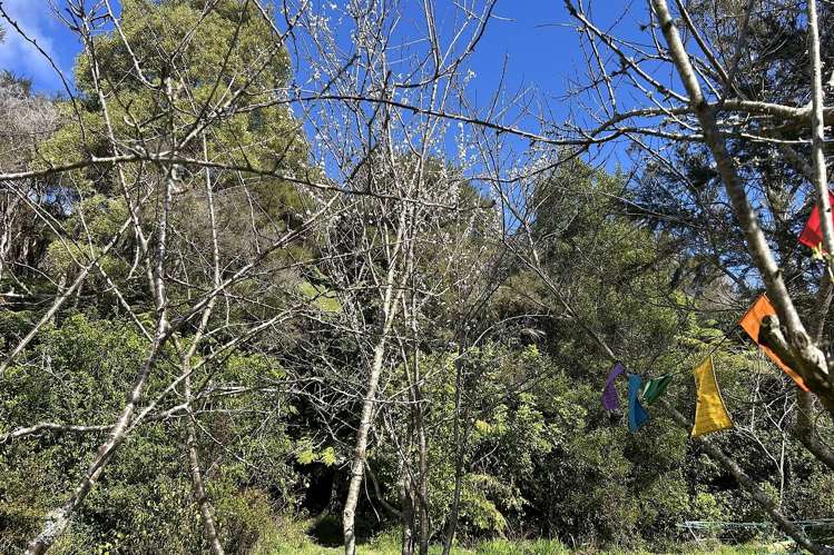 219 Parapara Valley Road_5